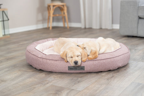 PHO_PRO_DOG_37880-37881-5