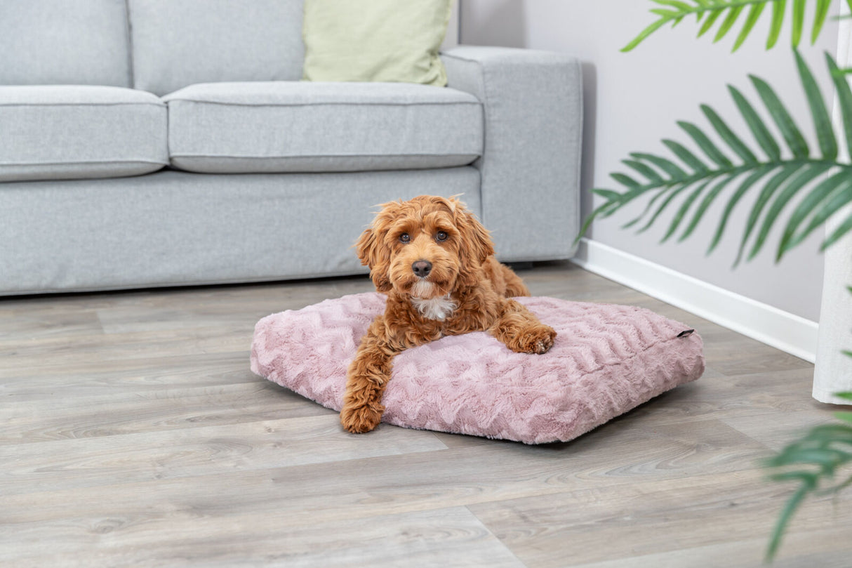 Ein brauner Hund liegt auf einem flauschigen, rosa Kissen auf einem Holzboden vor einem grauen Sofa.