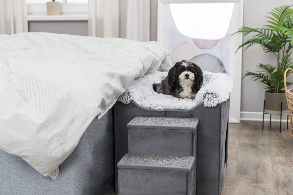 Ein kleiner Hund liegt auf einer grauen Plüschauflage auf einem erhöhten Podest mit Stufen neben einem Bett.
