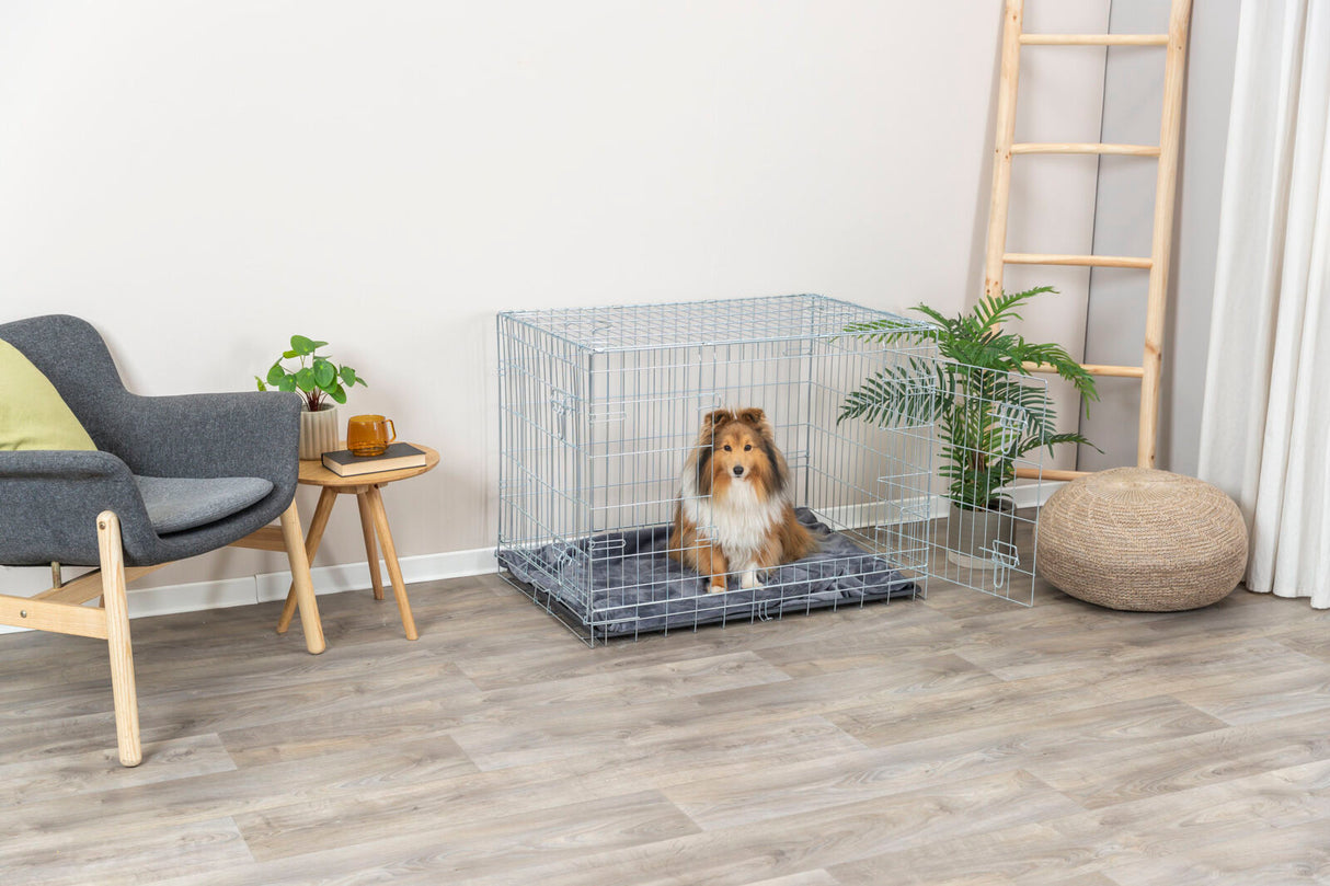 Ein Hund sitzt in einem metallenen Gitterkäfig auf einer grauen Decke, neben einer Zimmerpflanze, in einem modernen Wohnraum.