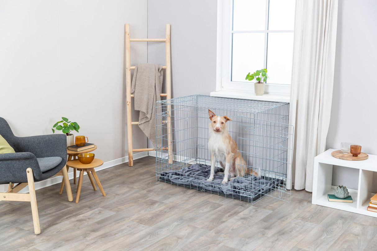 Hund sitzt in einem großen Metallkäfig mit grauer Decke in einem hellen Raum mit Pflanzen und Möbeln.