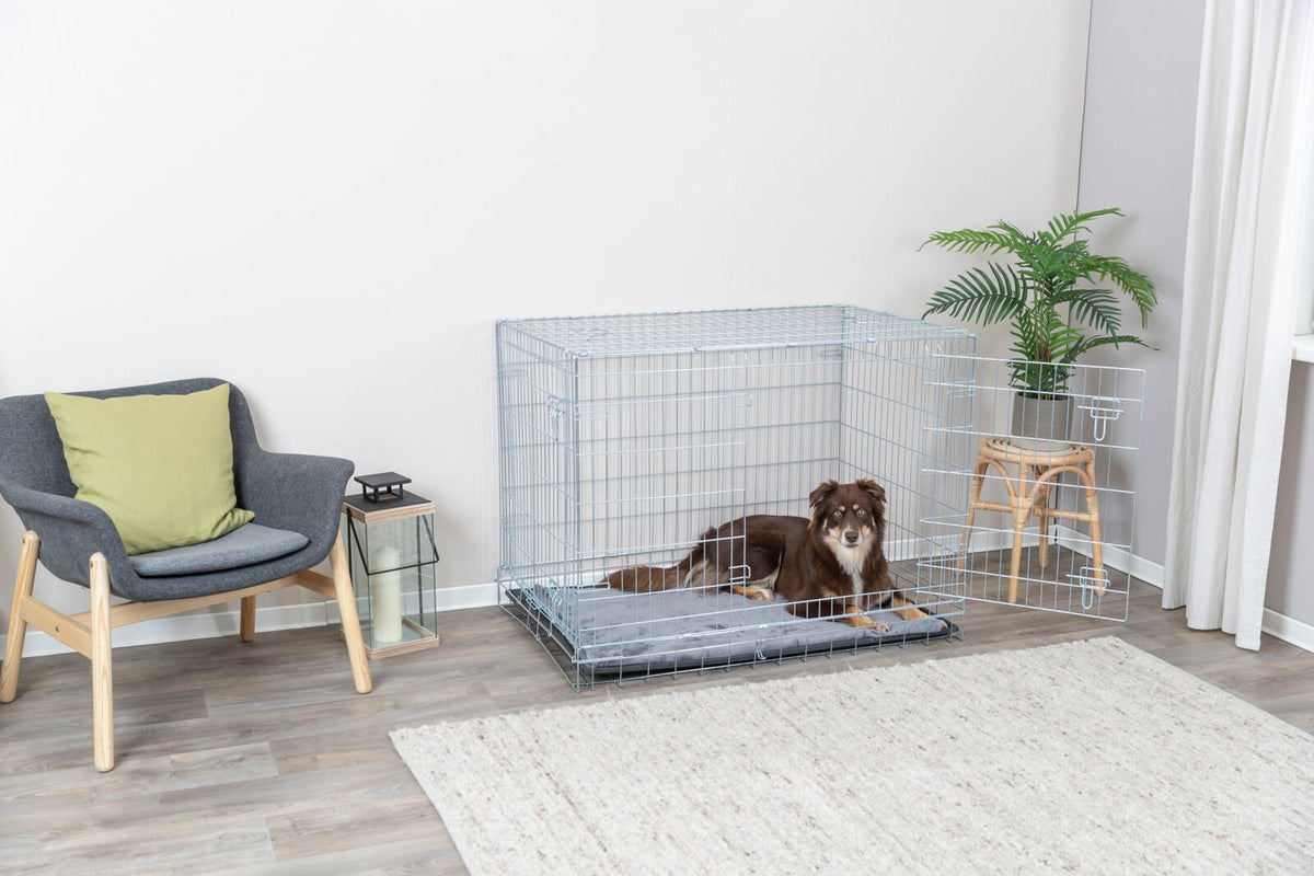 Zimmer mit Holzboden, grauem Sessel und Kissen, neben einem Metallkäfig mit Hund auf grauer Matte, Pflanze im Hintergrund.
