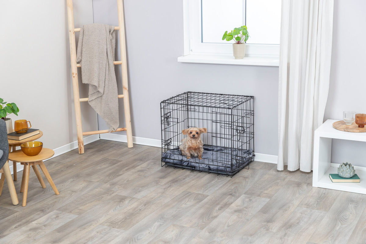 Ein kleiner Hund sitzt in einem schwarzen Drahtkäfig auf einem grauen Kissen in einem Wohnzimmer mit Holzboden.