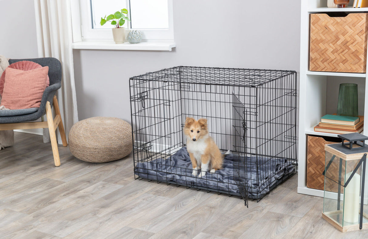 Ein kleiner Hund sitzt in einem offenen, schwarzen Metallkäfig auf einer grauen Decke in einem modern eingerichteten Raum.