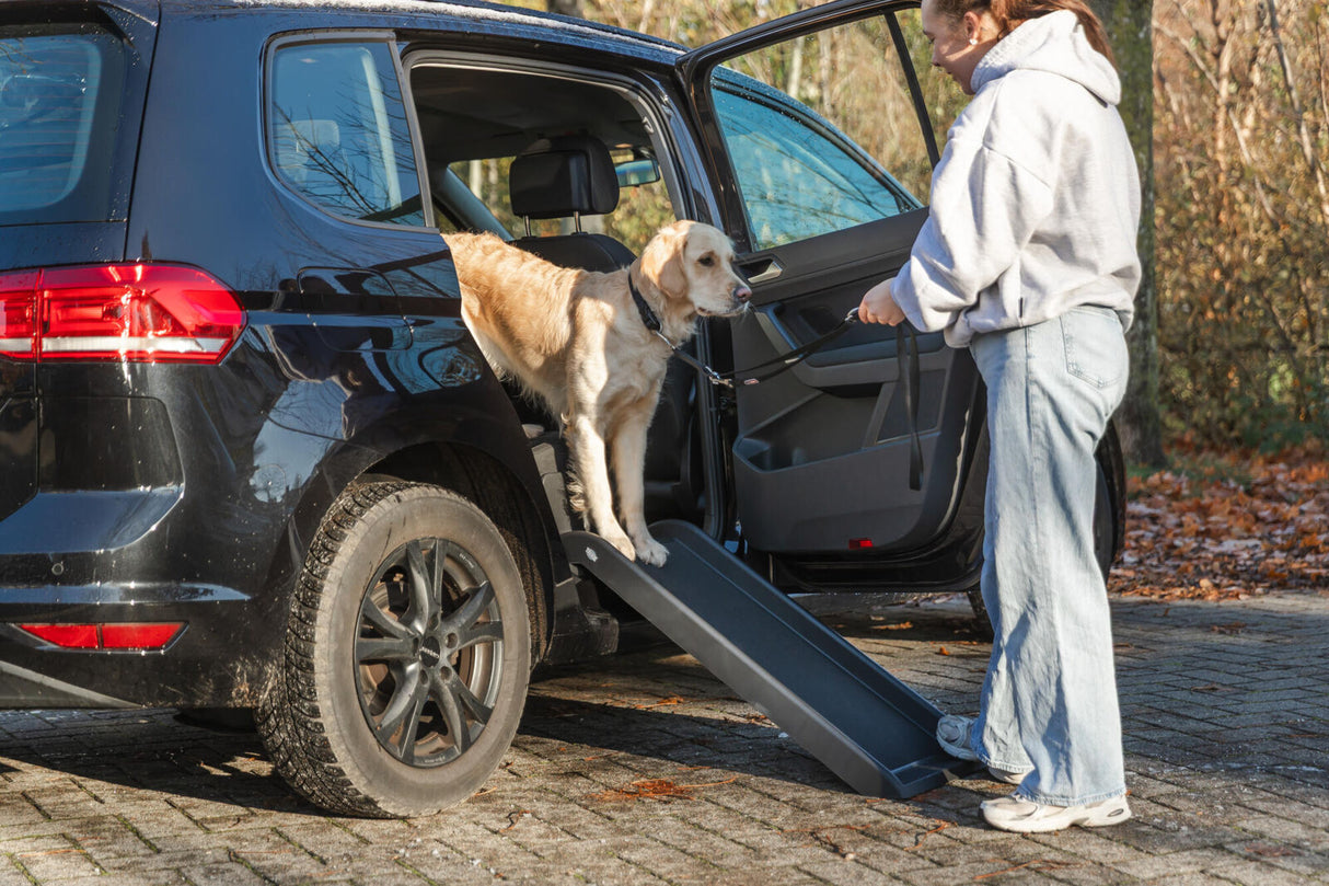 Rampe, Kunststoff/Sandpapier