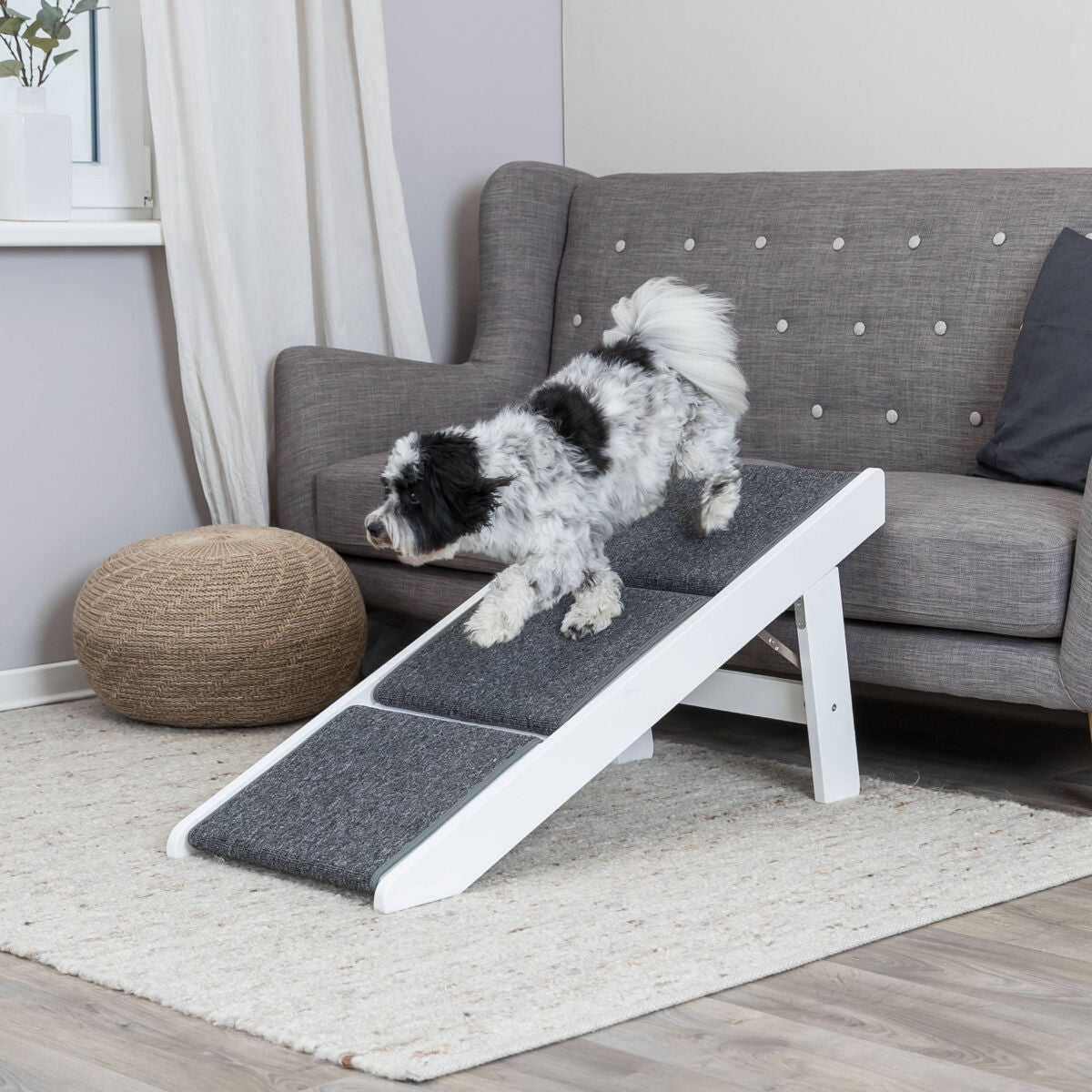 Ein kleiner Hund läuft eine graue Rampe hinunter, die an ein graues Sofa in einem Wohnzimmer grenzt.