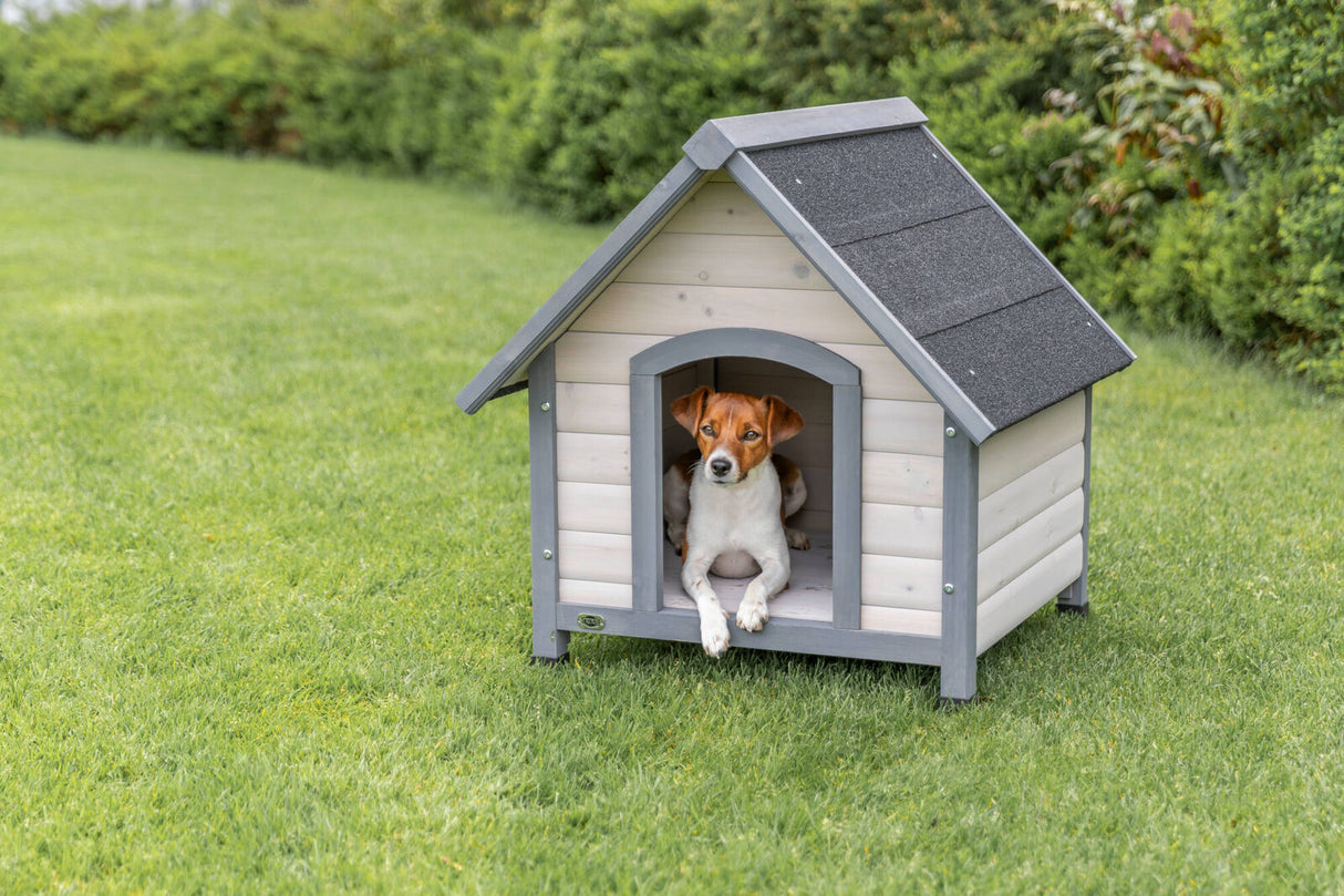 Kleiner Hund sitzt in einer Hundehütte auf einer grünen Wiese.