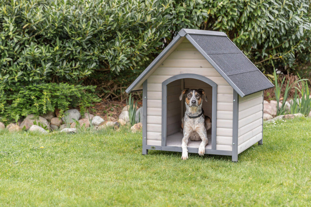 Hund sitzt in einer grauen Hundehütte auf einem Rasen im Garten.