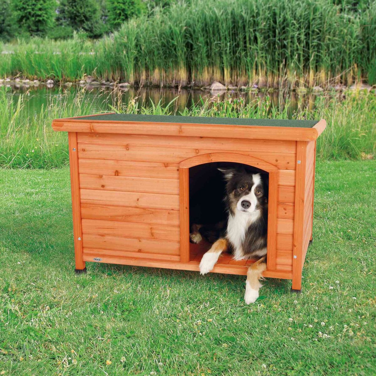 Ein Hund sitzt in einem hölzernen Hundehäuschen auf einer grünen Wiese, im Hintergrund sind hohe Gräser sichtbar.