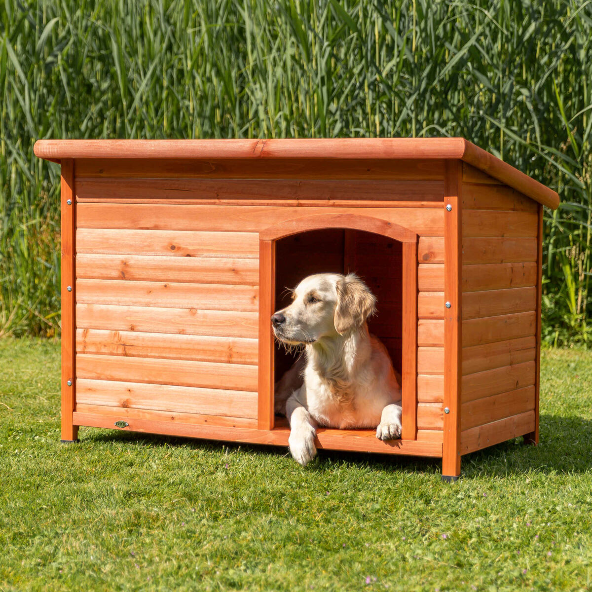 Hund liegt in hölzerner Hundehütte auf grünem Rasen, im Hintergrund Schilfgras.
