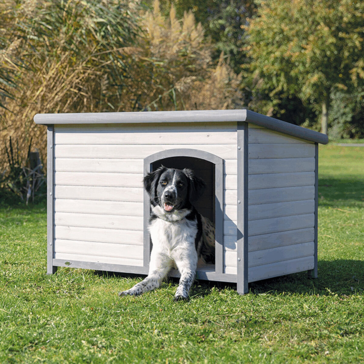 Hund in grauer Holzhütte auf grünem Rasen, Bäume und Büsche im Hintergrund.