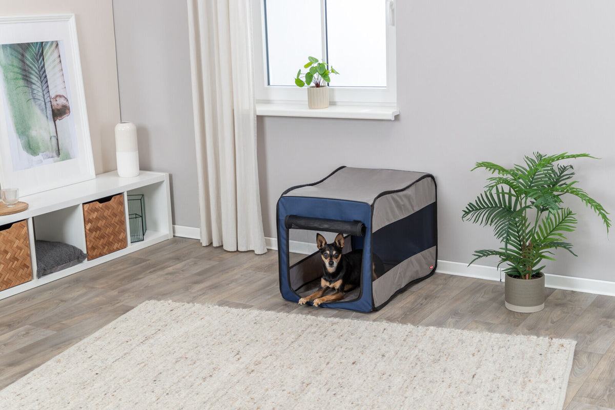 Ein Hund liegt in einer grau-blauen Box neben einem Fenster mit einer Pflanze und einem Schrank im Wohnzimmer.