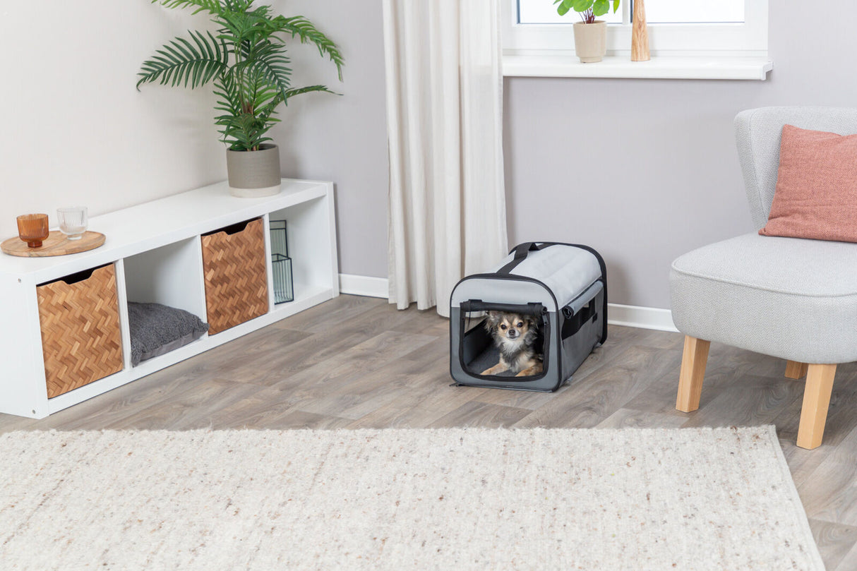 Hund sitzt in einer grau-schwarzen Transporttasche auf Holzboden, neben einem weißen Regal mit Körben und Pflanzen.