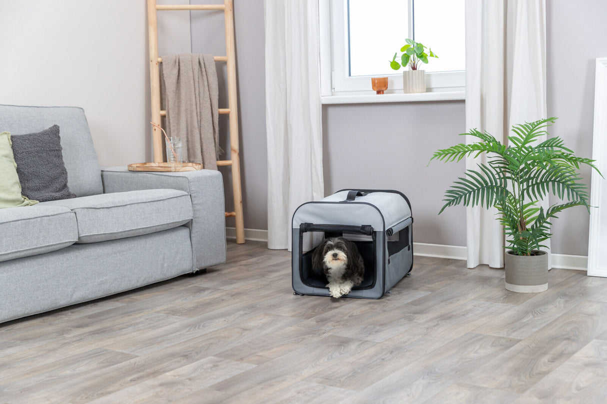 Ein kleiner Hund liegt in einer grauen, tragbaren Transportbox in einem Wohnzimmer mit Sofa, Pflanze und Leiter.
