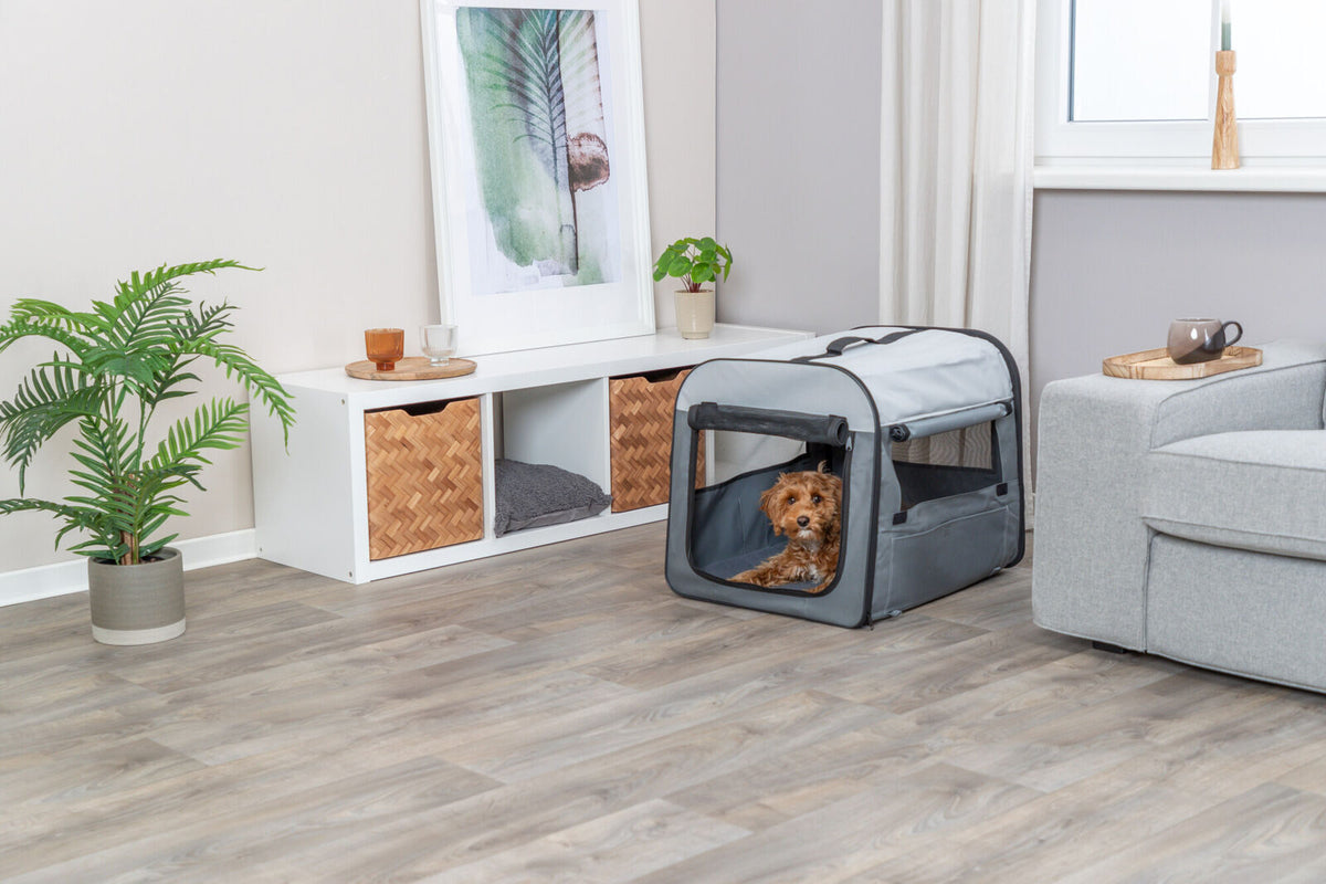 Ein Hund sitzt in einer grauen Transportbox in einem Wohnzimmer mit Holzfußboden, einem Sofa und Pflanzen.