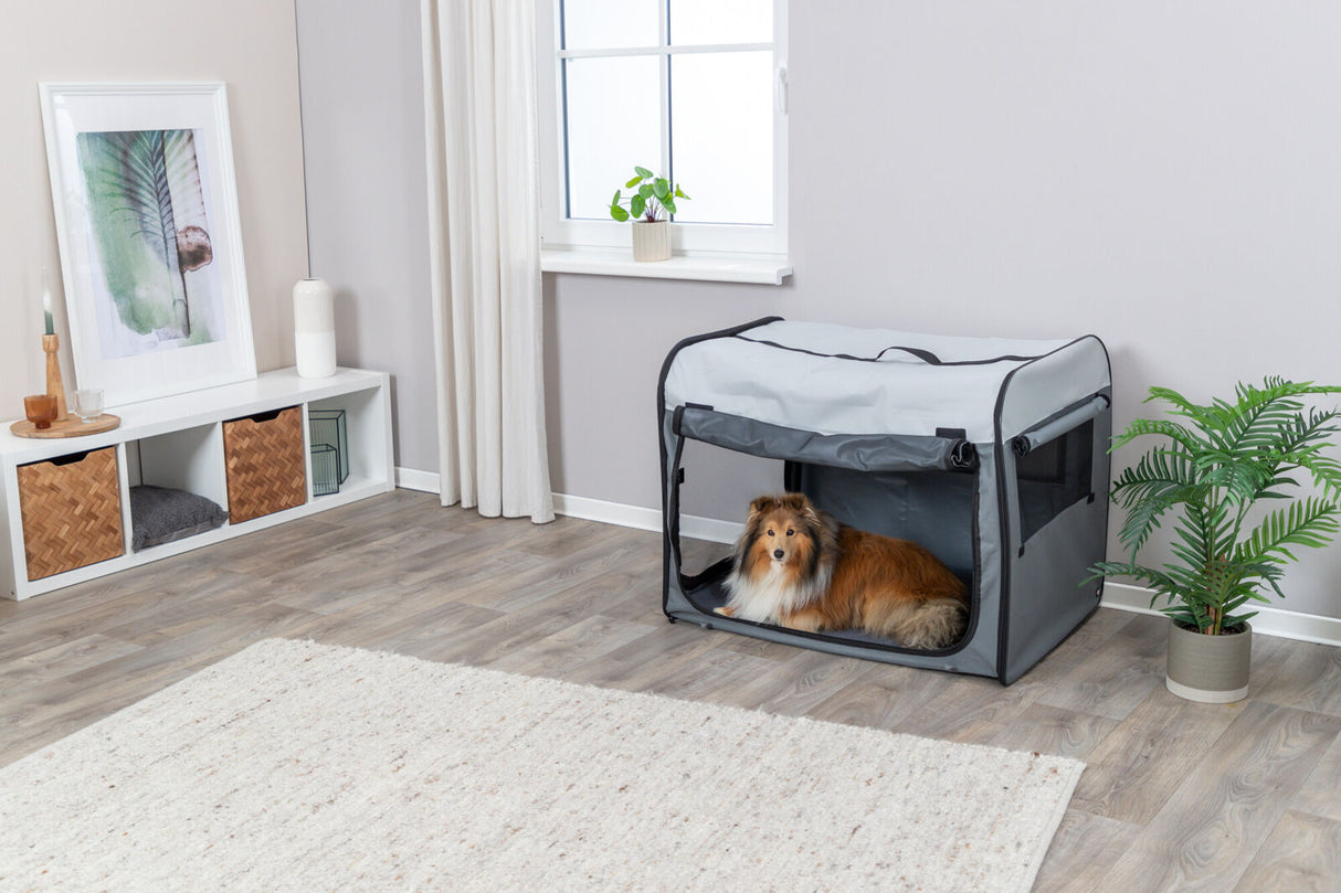 Helles Wohnzimmer mit grauen Wänden, Hund in grauer Tragetasche auf Holzboden, Pflanze und Regal im Hintergrund.