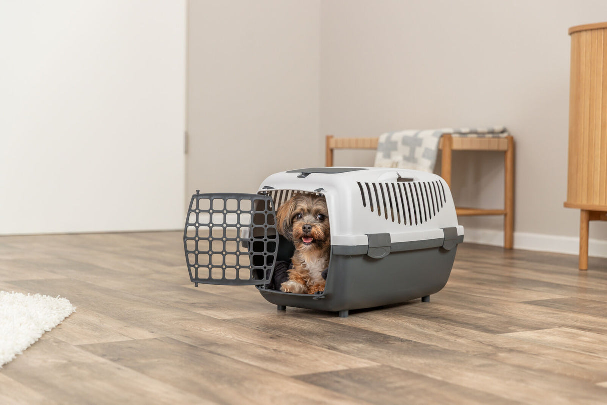 Kleiner Hund sitzt in einer geöffneten Transportbox auf einem Holzfußboden in einem hellen Raum.