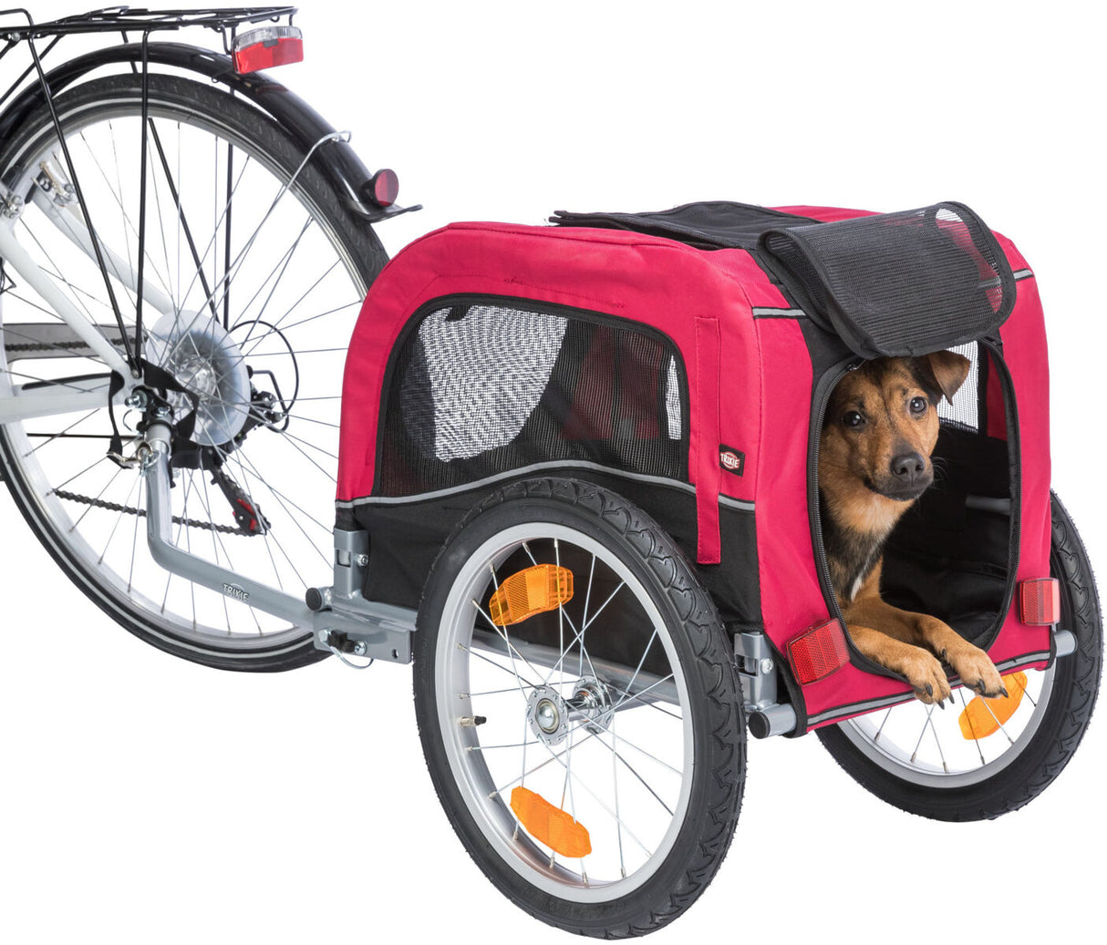 Ein roter Fahrradanhänger mit einem Hund im Inneren ist an ein Fahrrad befestigt.