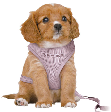 Kleiner brauner Welpe mit weißem Brustfleck trägt ein rosa Geschirr mit der Aufschrift "PUPPY DOG".