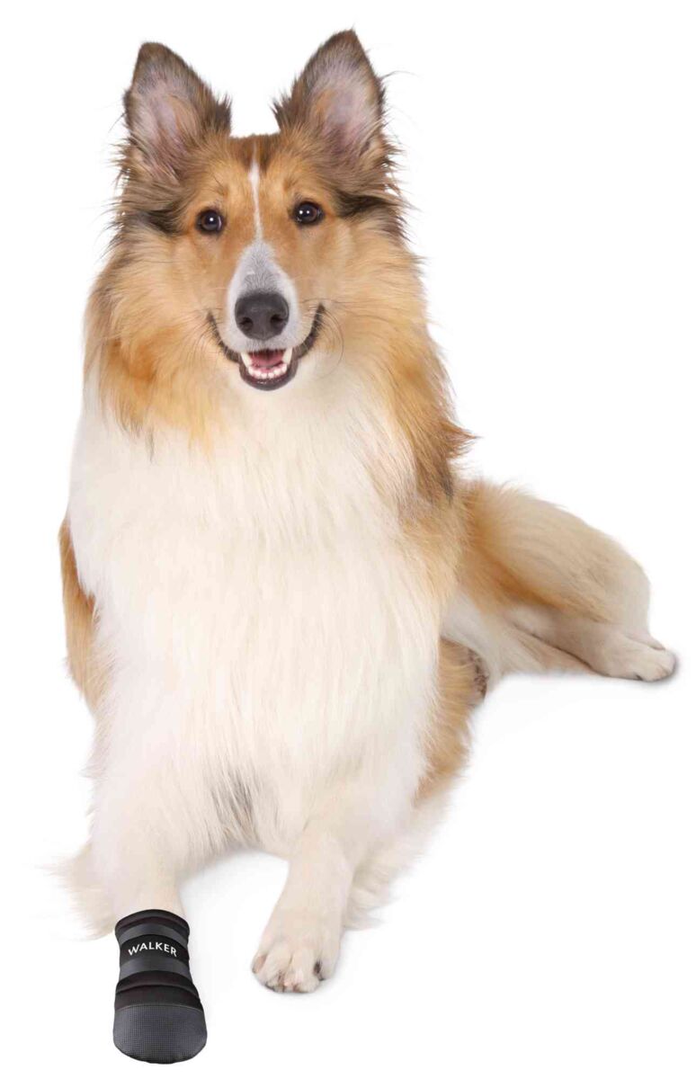 Ein Hund mit langem, flauschigem Fell trägt einen schwarzen Hundeschuh mit der Aufschrift "WALKER" am Vorderbein.