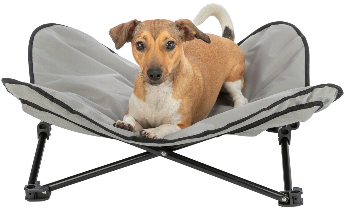 Ein kleiner brauner Hund liegt in einem grauen Hundebett mit schwarzem Rahmen.