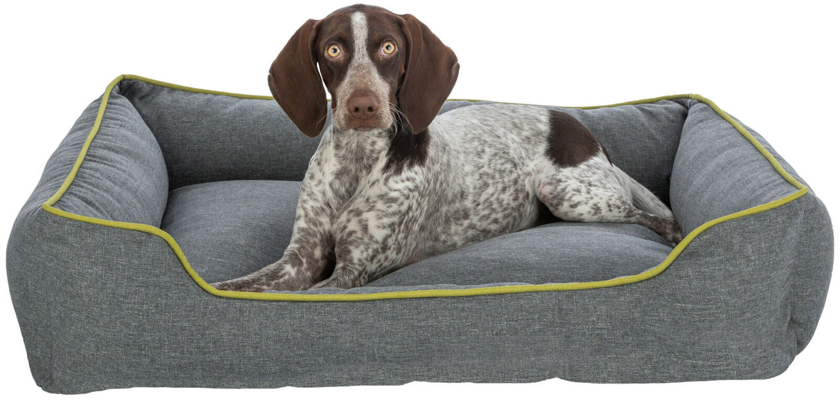 PHO_PRO_DOG_CLIP_28430-28431-28432-1