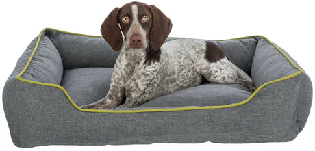 PHO_PRO_DOG_CLIP_28430-28431-28432-1