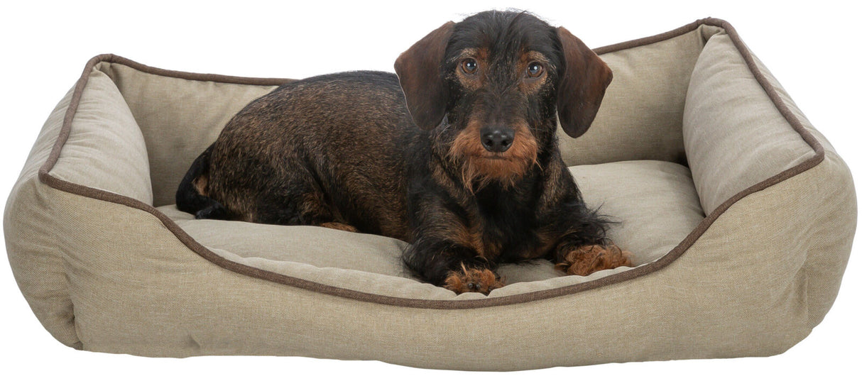 PHO_PRO_DOG_CLIP_28433-28434-28435-1