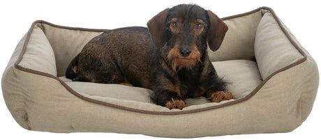 PHO_PRO_DOG_CLIP_28433-28434-28435-1