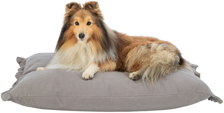 PHO_PRO_DOG_CLIP_28506-28507-1