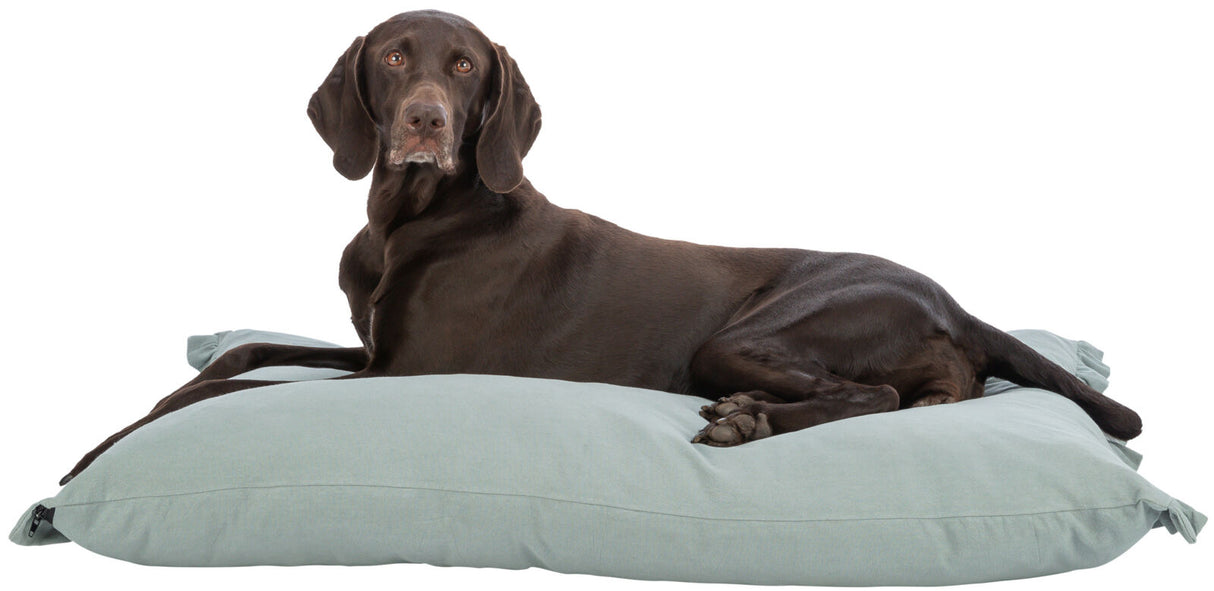 PHO_PRO_DOG_CLIP_28508-28509-1