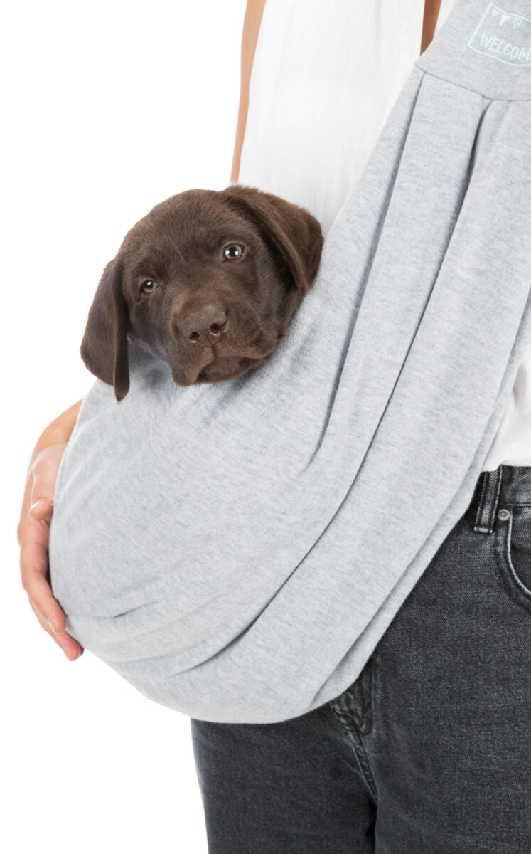 Ein brauner Welpe liegt in einer grauen Stofftragetasche, die von einer Person in Jeans und weißem Oberteil gehalten wird.