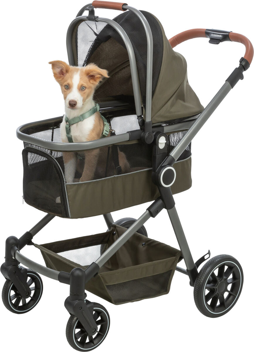 Ein kleiner Hund sitzt in einem grün-schwarzen Kinderwagen mit einem Netz und braunem Griff.