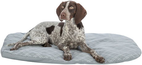 Hund mit braun-weißem Fell liegt auf einem grauen, gesteppten Kissen und schaut nach oben.