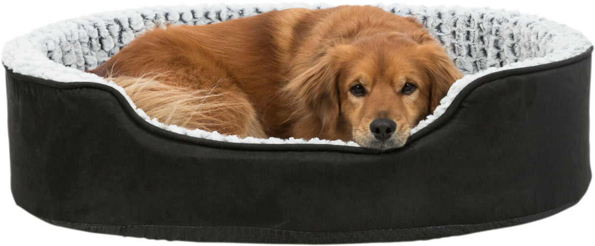 Hund liegt entspannt in einem runden, schwarzen Hundebett mit weißer, plüschiger Umrandung.