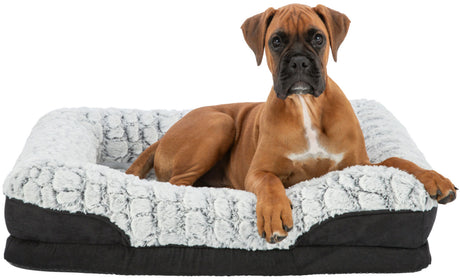 Hund liegt in einem schwarz-weiß gepolsterten Hundebett aus weichem, flauschigem Material.