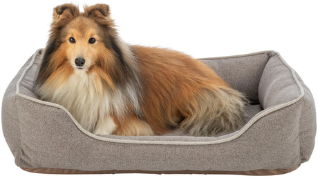 PHO_PRO_DOG_CLIP_37420-37421-37422-37423-1