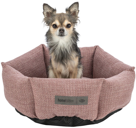 Kleiner Hund sitzt in einem rosafarbenen Hundebett mit der Aufschrift "homeEdition TRIXIE".