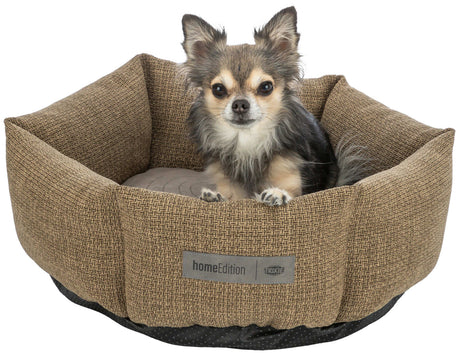 Ein kleiner Hund sitzt in einem braunen, runden Hundebett mit einem Etikett von "homeEdition".