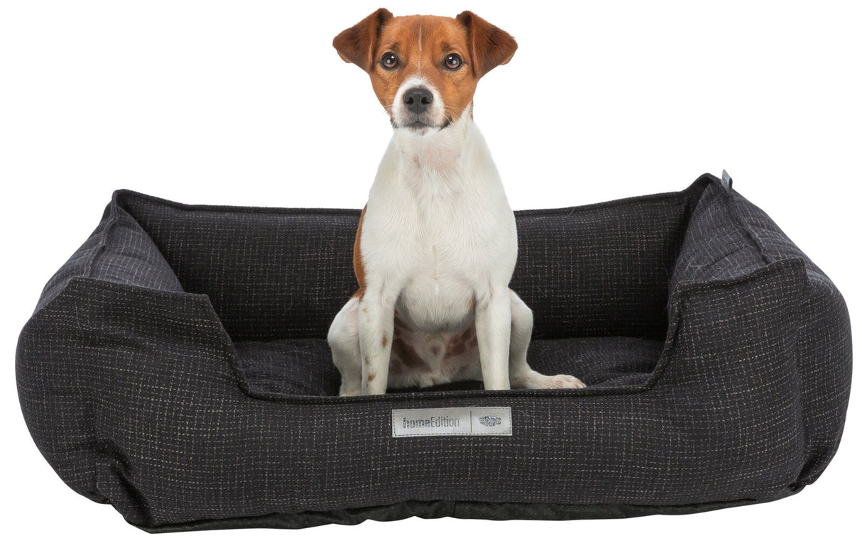 Ein kleiner Hund sitzt in einem schwarzen, rechteckigen Hundebett mit einem Etikett "homeEdition" vorne.