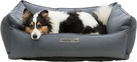 Hund mit schwarzem, weißem und braunem Fell liegt in einem grauen Hundebett mit „homeEdition“-Label.
