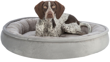 PHO_PRO_DOG_CLIP_37703-37704-37705-1