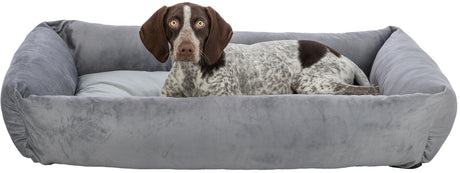 PHO_PRO_DOG_CLIP_37770-37771-37772-37773-1