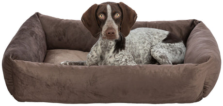 PHO_PRO_DOG_CLIP_37774-37775-37776-37777-1