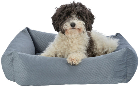 PHO_PRO_DOG_CLIP_37790-37791-1