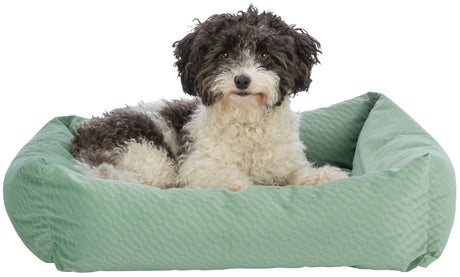 PHO_PRO_DOG_CLIP_37792-37793-1