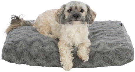 Ein kleiner Hund liegt auf einem grauen, flauschigen Hundebett.