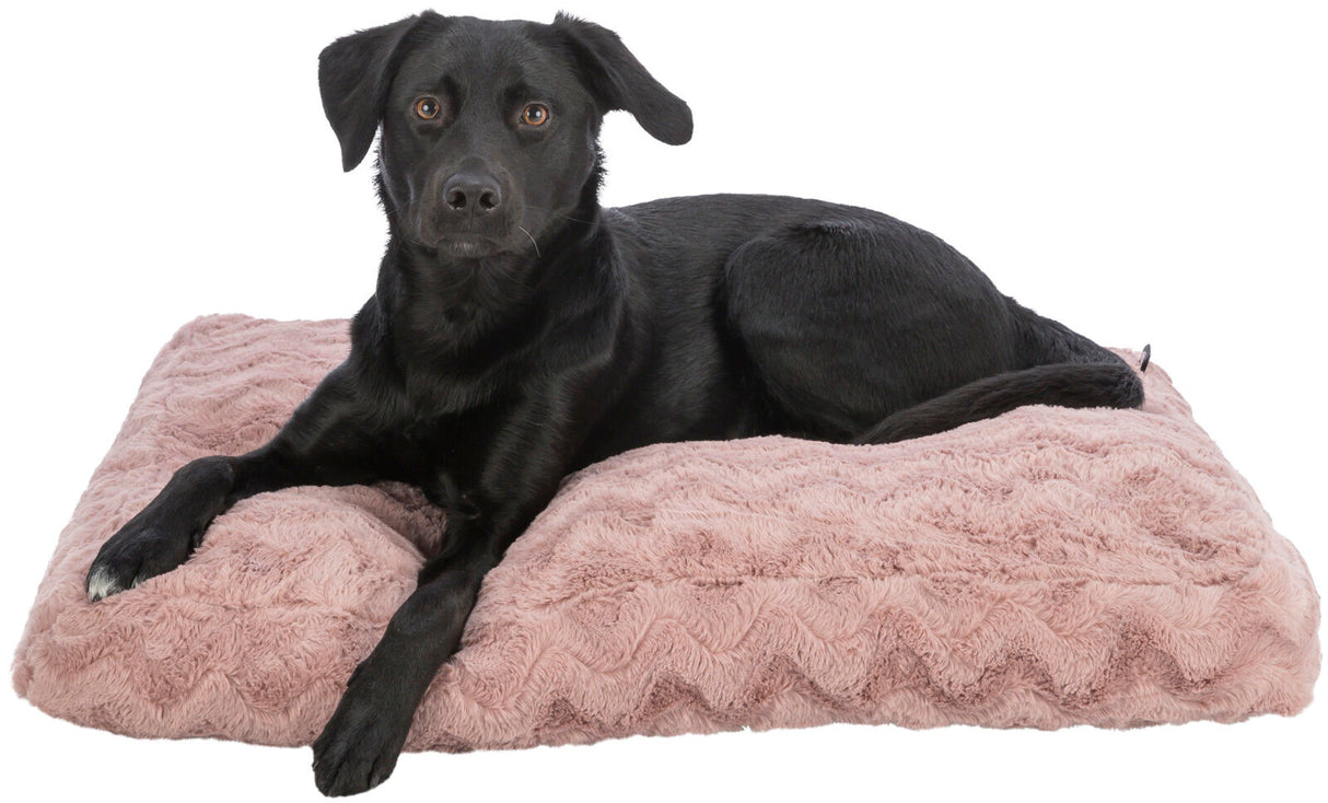 Schwarzer Hund liegt entspannt auf einem flauschigen, rosa Kissen mit wellenförmigem Muster auf weißem Hintergrund.