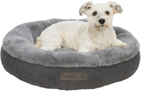 PHO_PRO_DOG_CLIP_37977-1