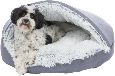 PHO_PRO_DOG_CLIP_38037-2